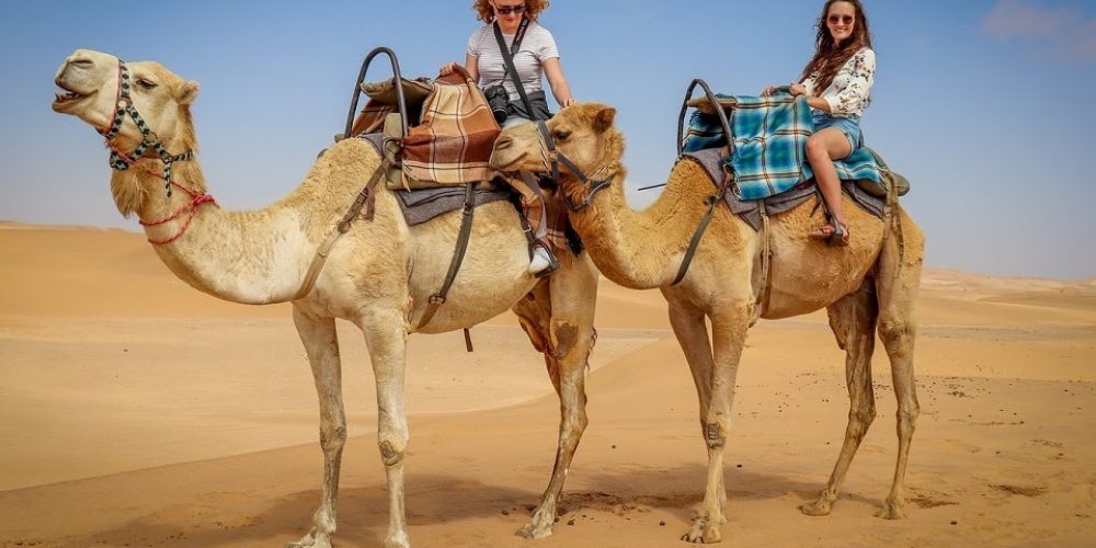 Best-Camel-Riding-Tours-In-Dubai
