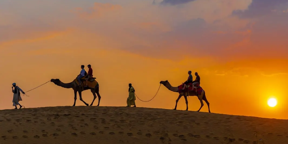 Full Day Desert Safari Tour With Evening Show