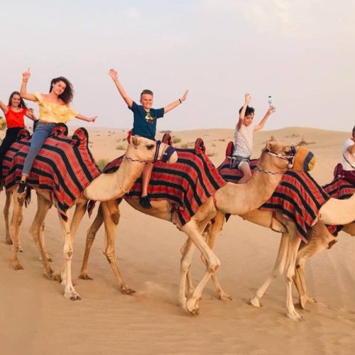 Full Day Desert Safari Tour