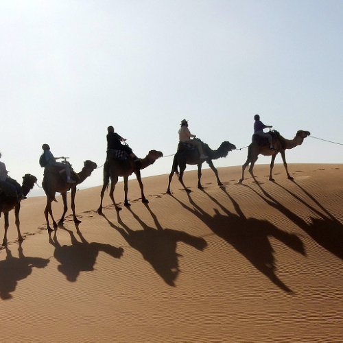 Overnight Camel Safari Package
