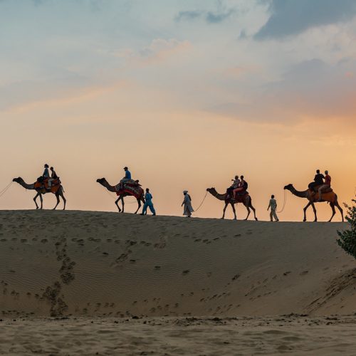 Real Adventure In Desert Tour Package